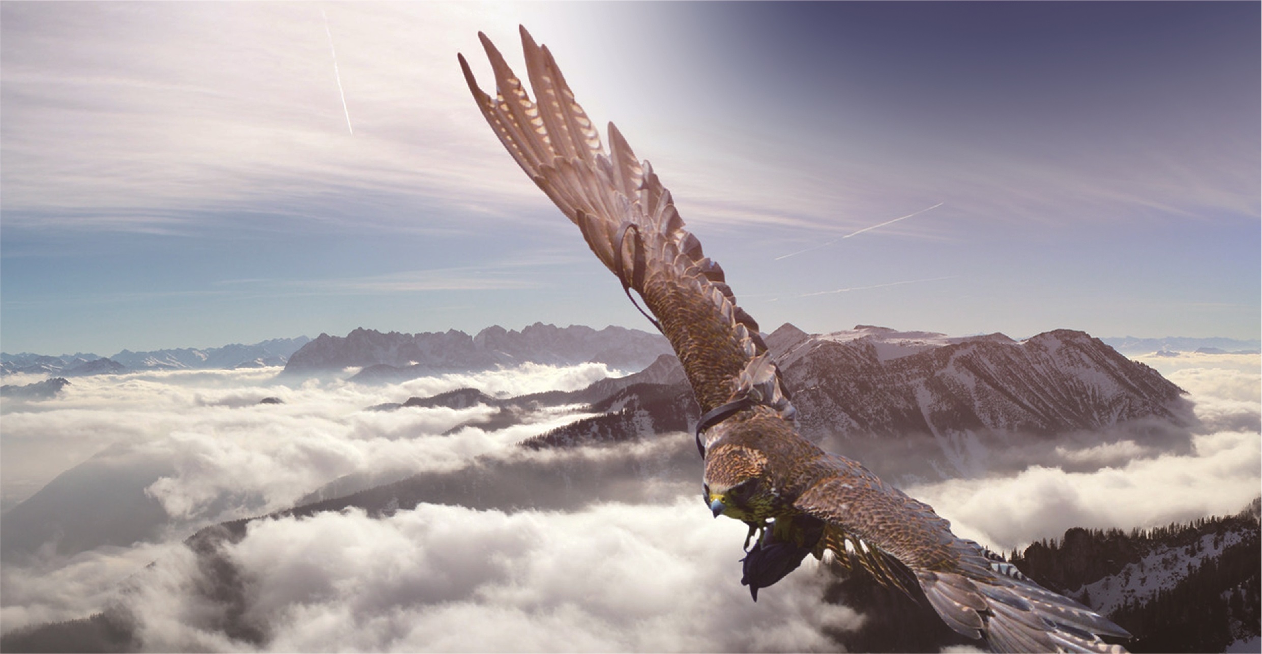 1666069416923386kHwH.jpg 1666069416923386kHwH.jpg